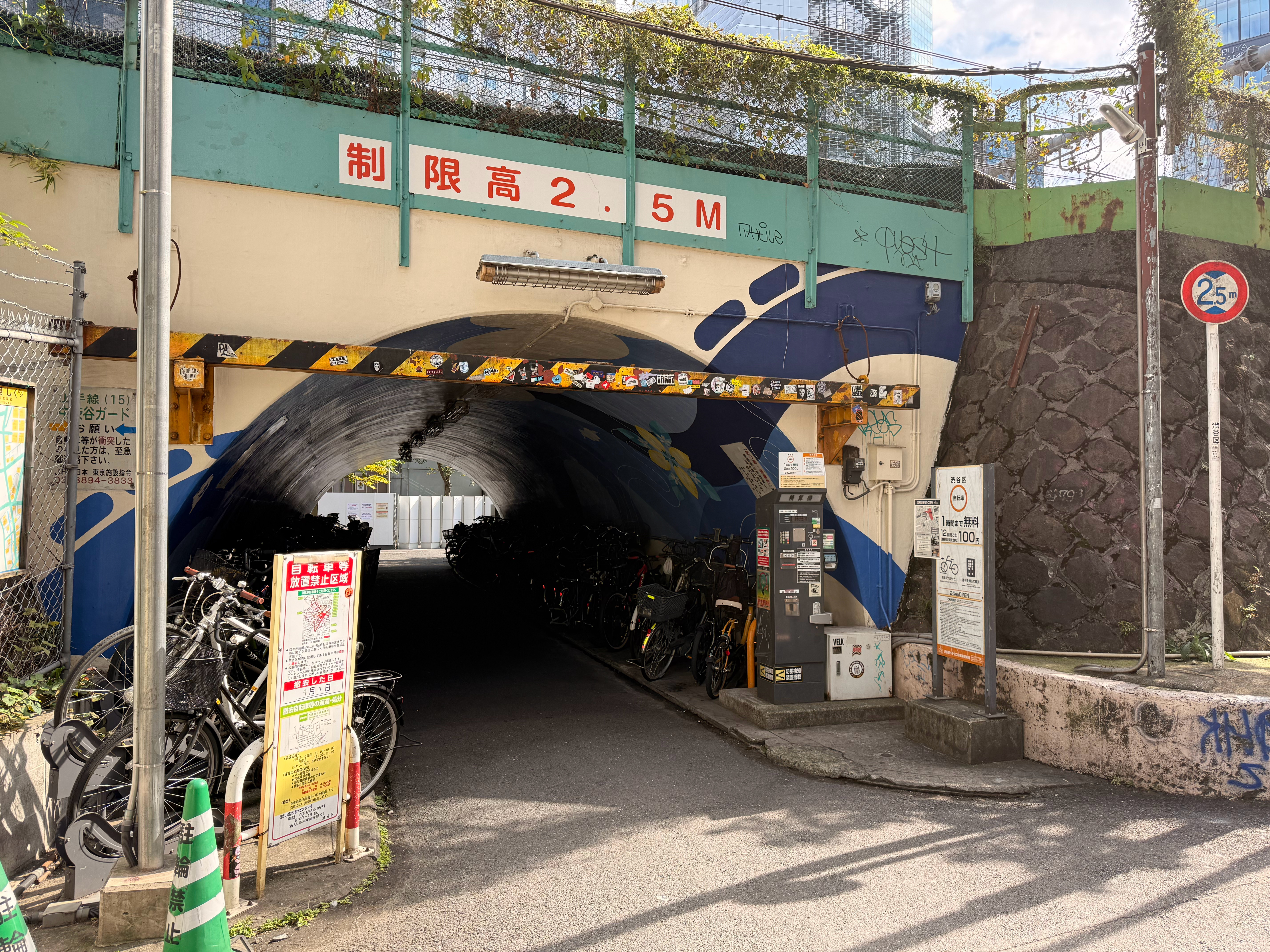 一年了 