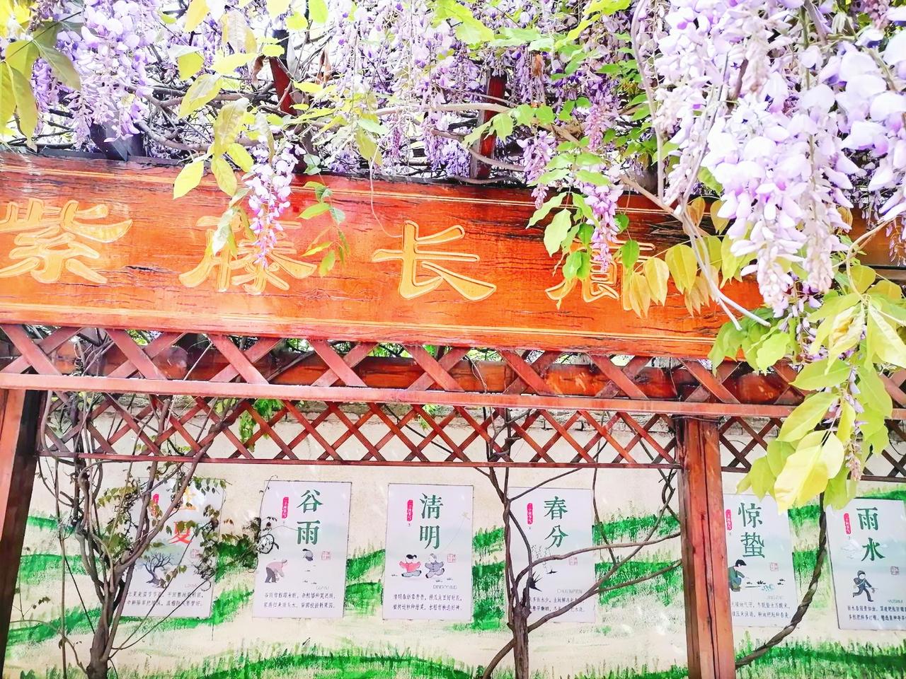 清明节已过，说一说清明节。清明一般不会主动打搅别人，没有什么祝福，哪里有人不知场