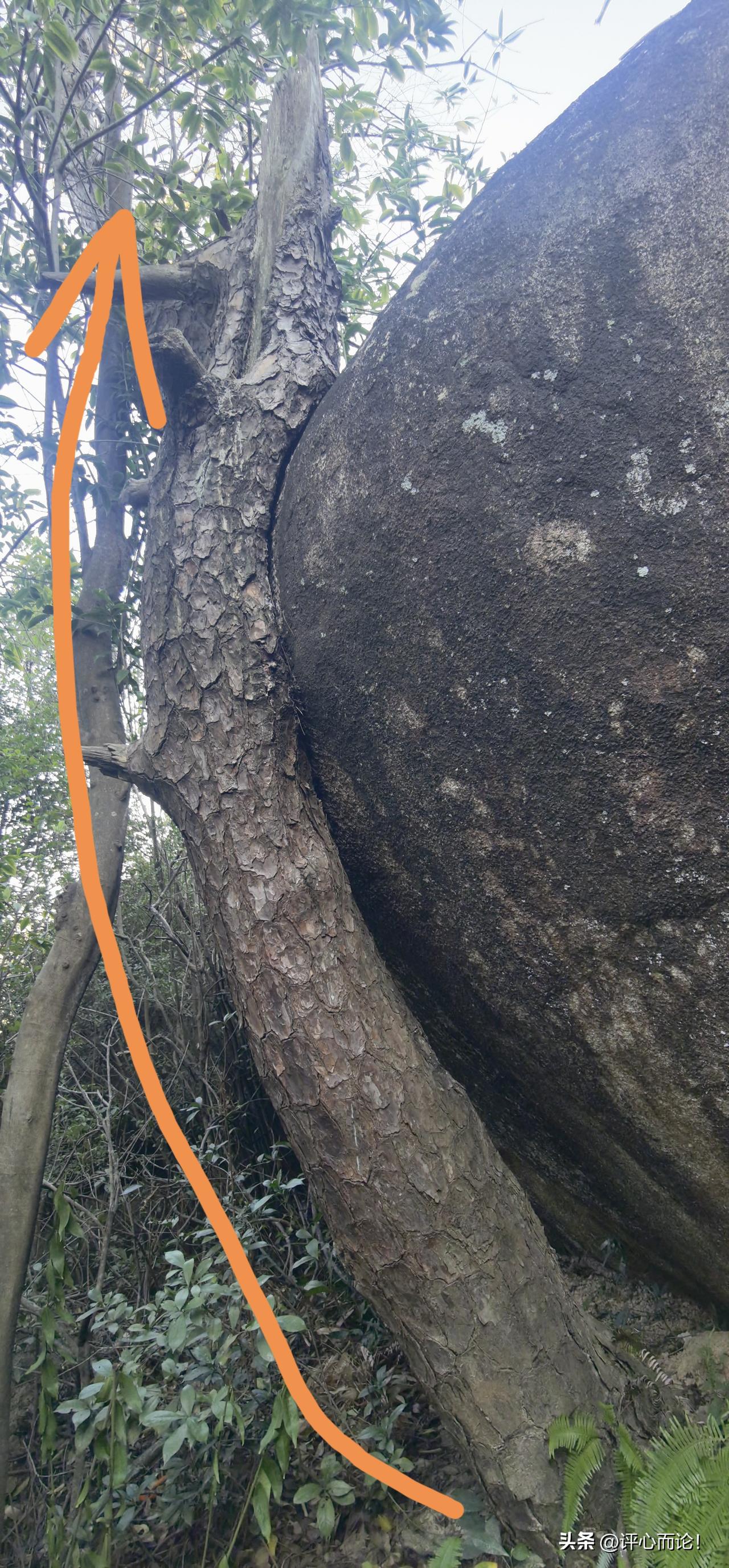 顺势而为，才是最高级的通透。