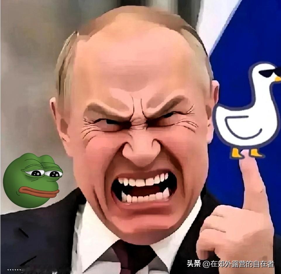 就在刚刚刚，
俄罗斯总统普京正式宣布！
11月4日，克里姆林宫的授勋仪式格外受瞩