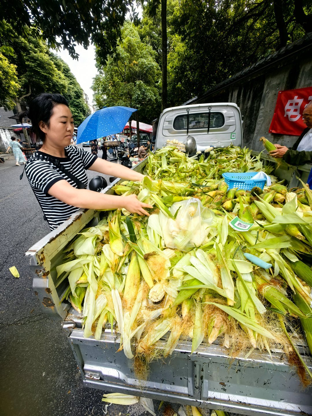 喵奶奶去参加退休老妞儿歌舞排练，出门不久，打来电话，这边有一个菜市场，很大，肯定