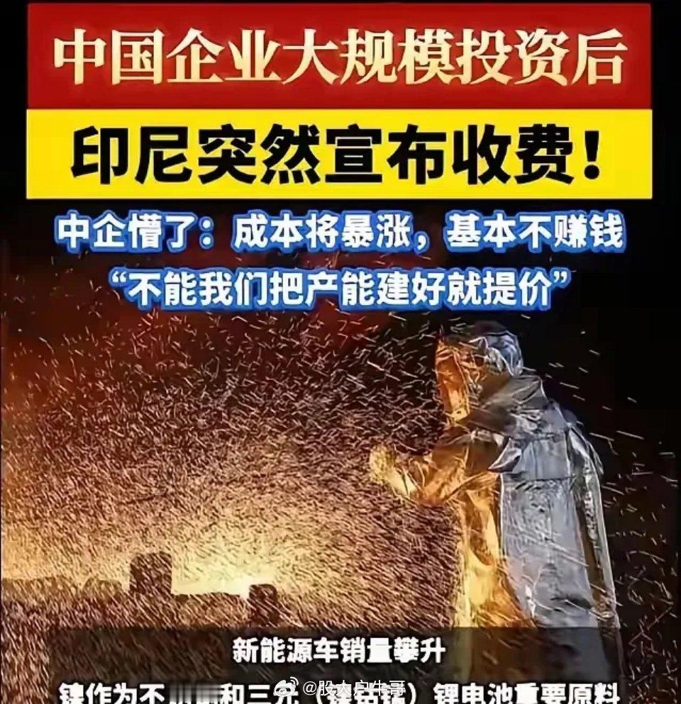 中国花140亿美元帮印尼建成全球镍都，印尼反手涨价，第二天跟日本签了军火协议。 