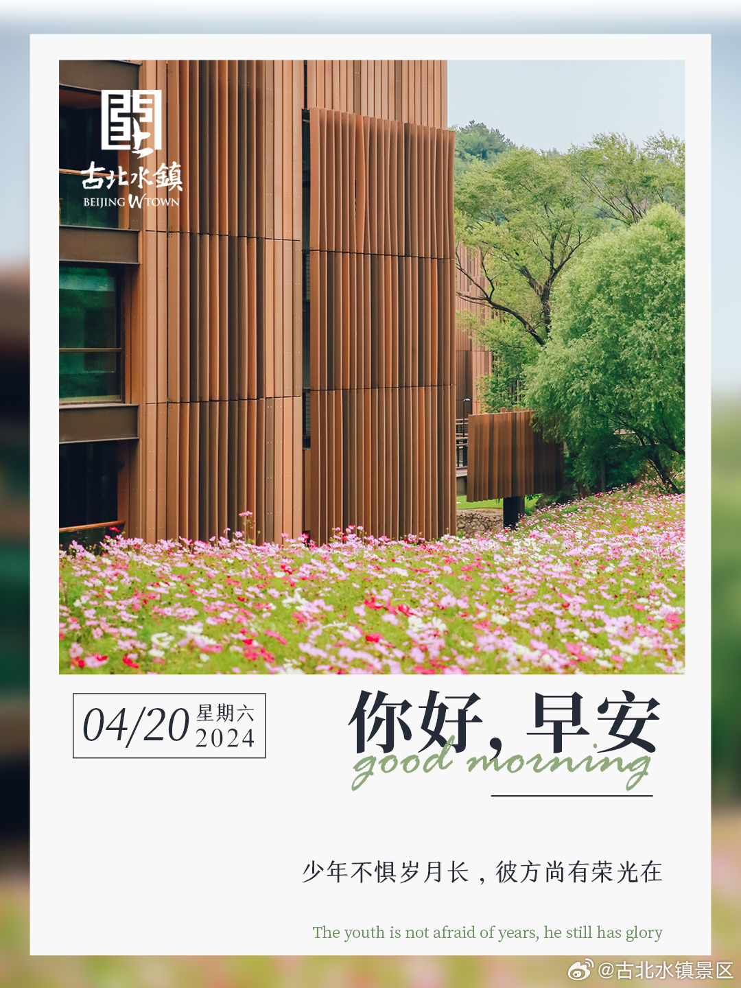 少年不惧岁月长，彼方尚有荣光在早安，宝子们~#长城下的鸣桡小镇# #春日city