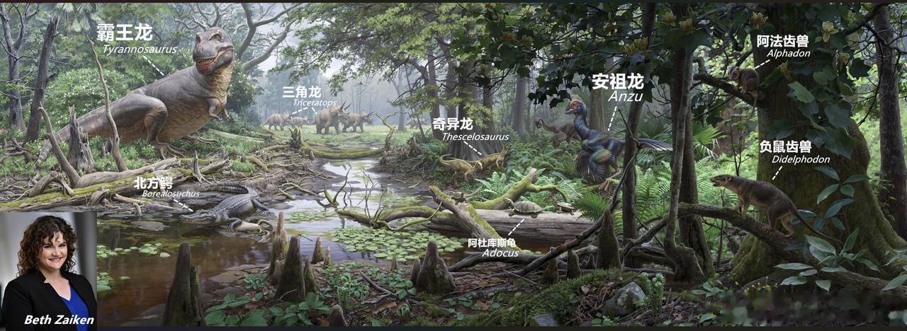 用壁画再现霸王龙的世界！
科普动物恐龙
这是一幅位于芝加哥菲尔德自然历史博物馆（