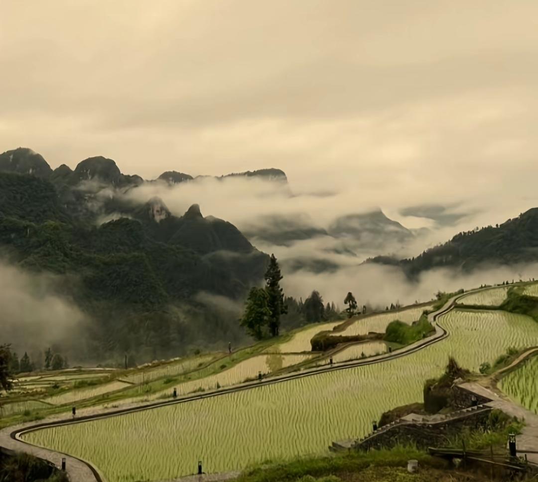 “青色的雨点又敲打我的心窝，远山的云烟怎能融化我执着。”听着禾初初《月色执念》里