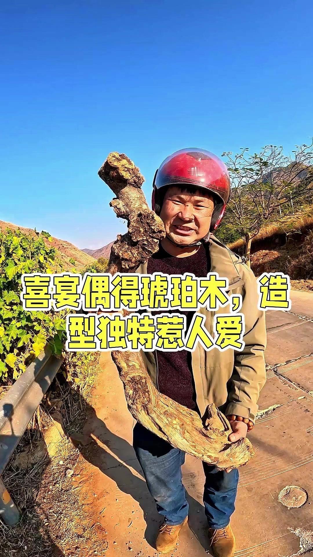 周末去喝喜酒，在别人家柴堆里发现这块琥珀木，造型特别好，就跟主人要了回来。
它的