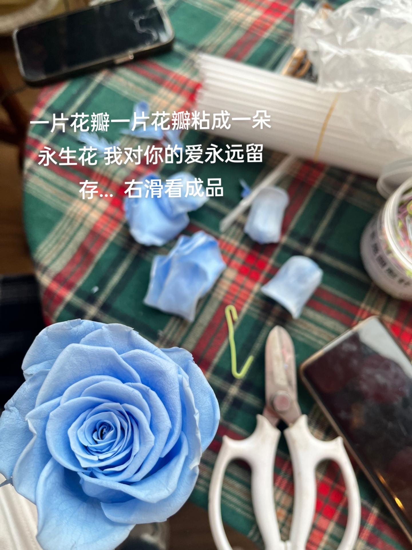 记得送她一束花别总买她的泪花