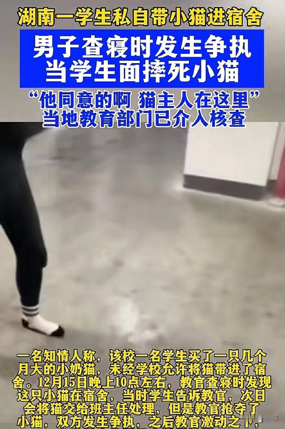 摔死幼猫的宿管，你的戾气远比宠物更该被“清理”。

 
湖南湘西一所职校的宿舍楼