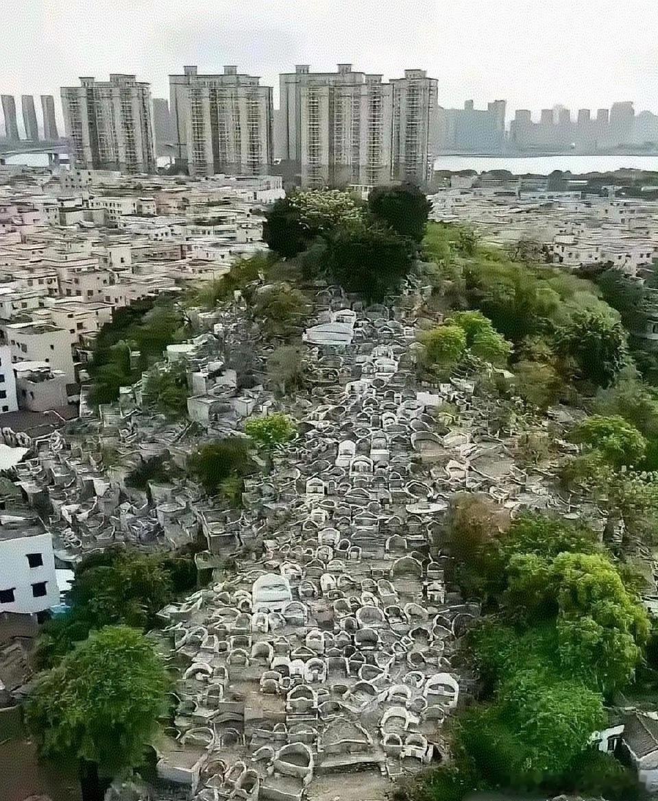 这就是多年后土葬的结果！ 