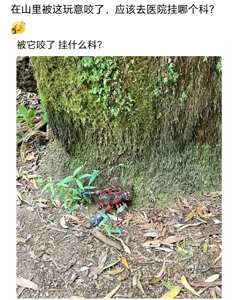 挺急的！谁懂啊！这种情况该看什么科？