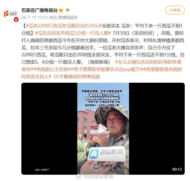 瓜农2200斤西瓜收瓜贩仅出价20元瓜农含泪发声西瓜5分钱一斤没人要  西瓜只是