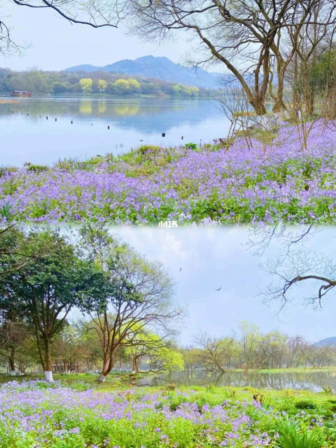 来西湖99次，还是最爱这条西湖小众秘境路线