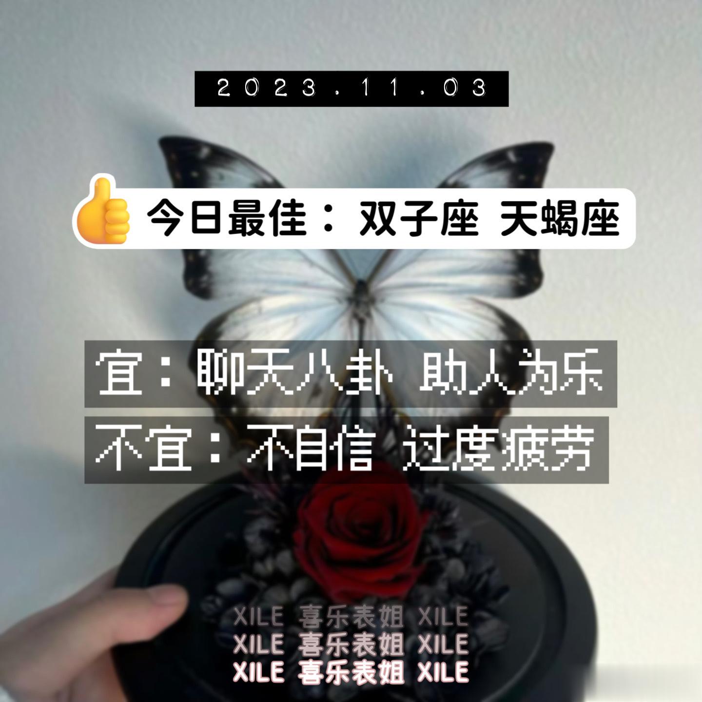 明日提醒#暖冬许愿季# ​​​