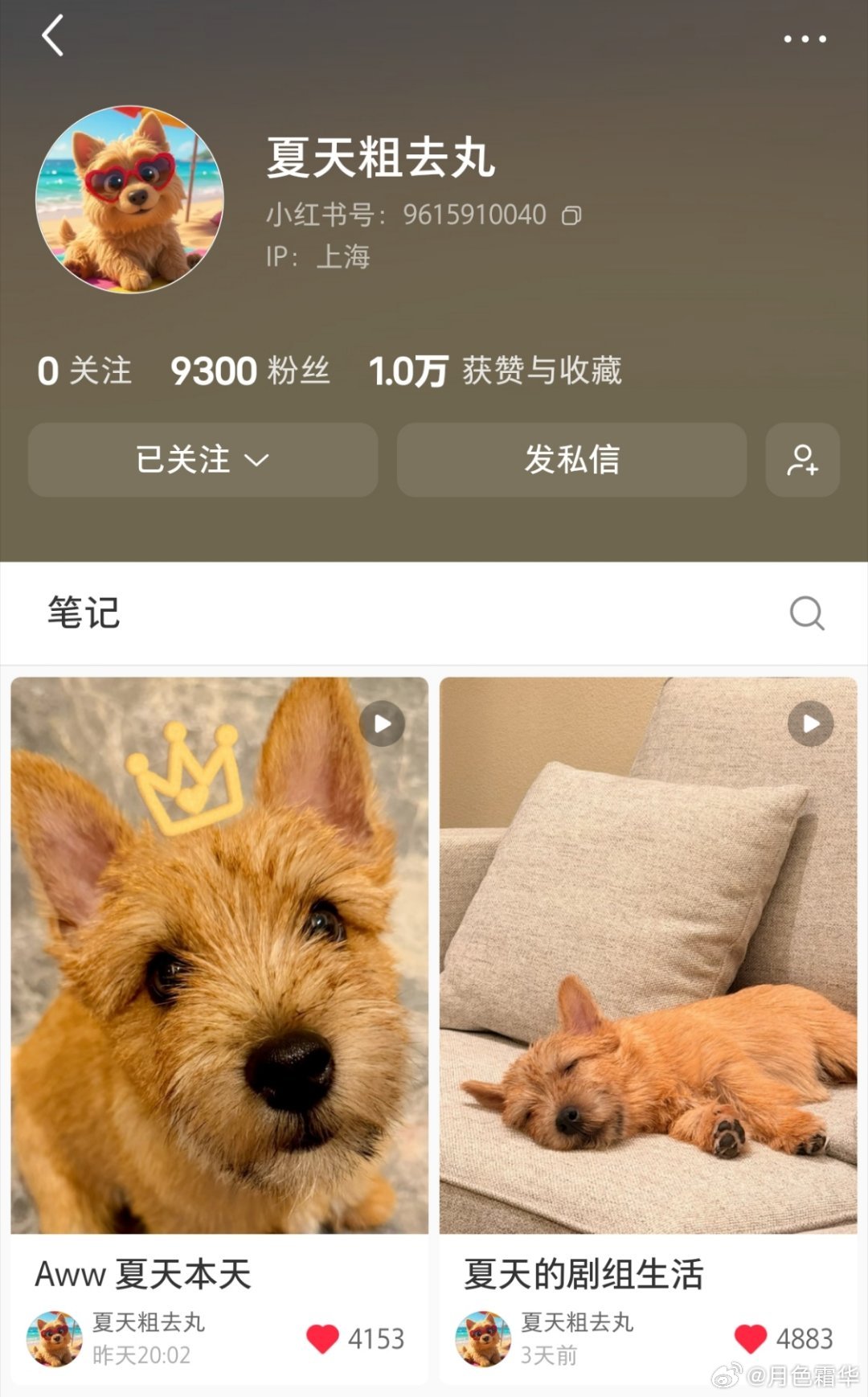 黄景瑜：演员、夏天经纪人。 