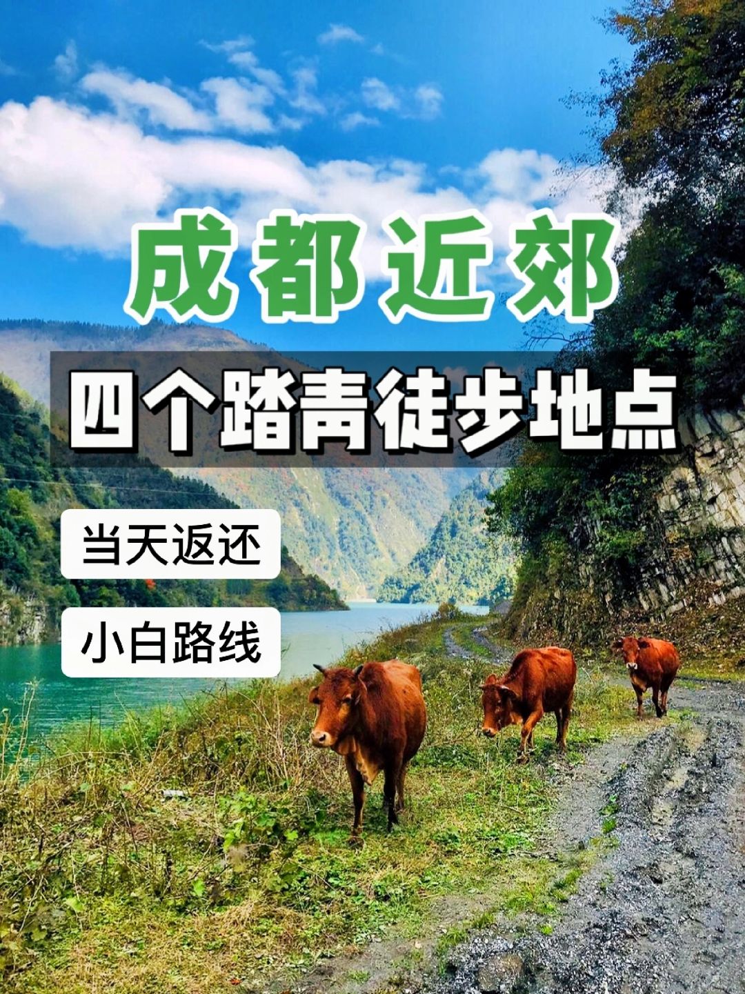 成都近郊❗❗适合周末去的4个轻徒步地点