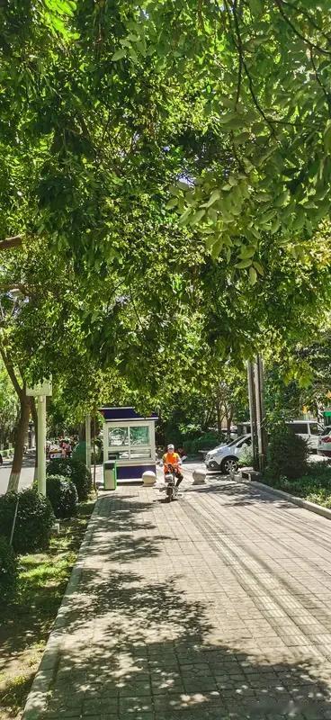 夏日生活打卡季蝉鸣声声，热浪滚滚，夏日的序曲已悄然奏响。清晨的冰镇西瓜，午后的树