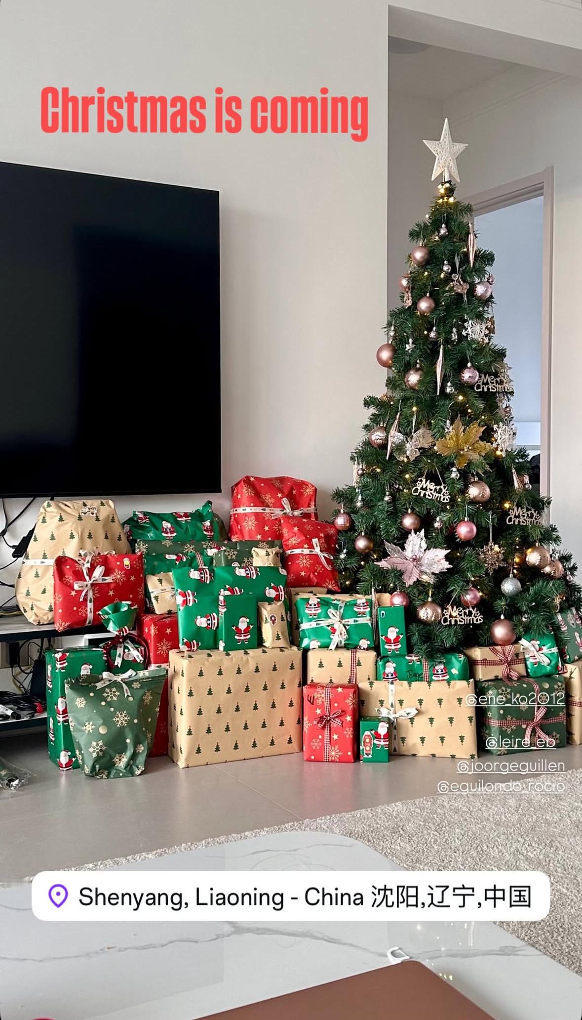 助教洛佩斯更新圣诞节来临把家里布置的很有节日气氛🎄 