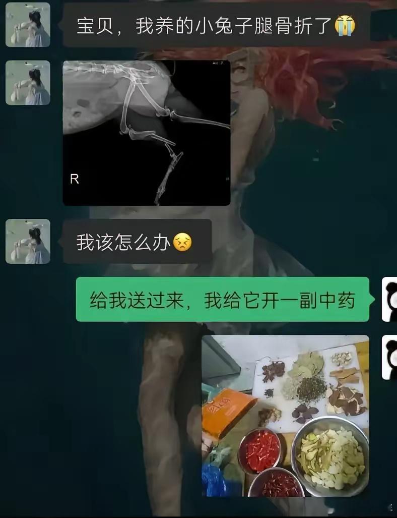 小兔子：我真是谢谢你啊！ 