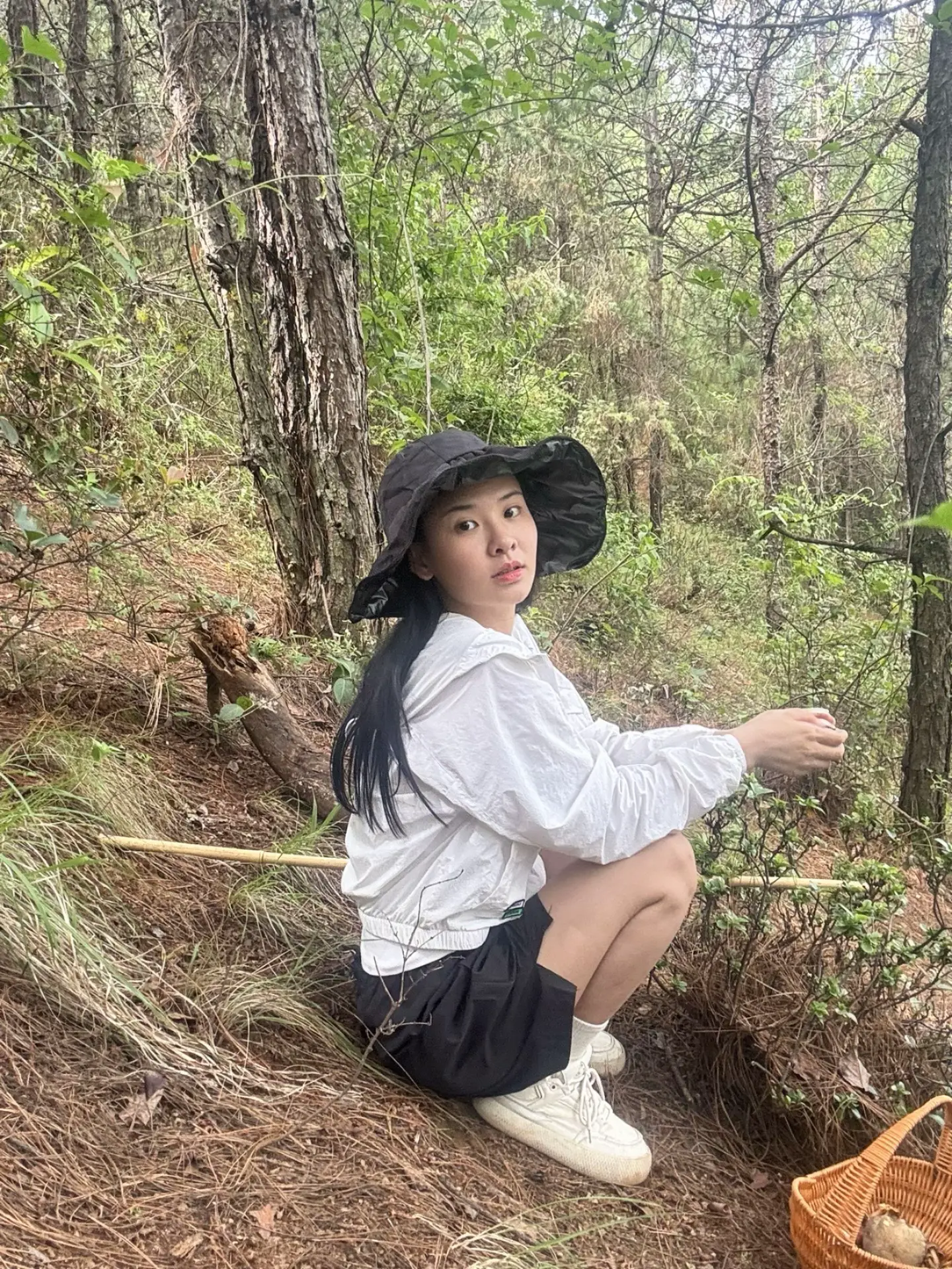 先生，我出不了云南，你带朵见手青走吧！遇到坏人的时候，把它塞坏人嘴里🤭🤭