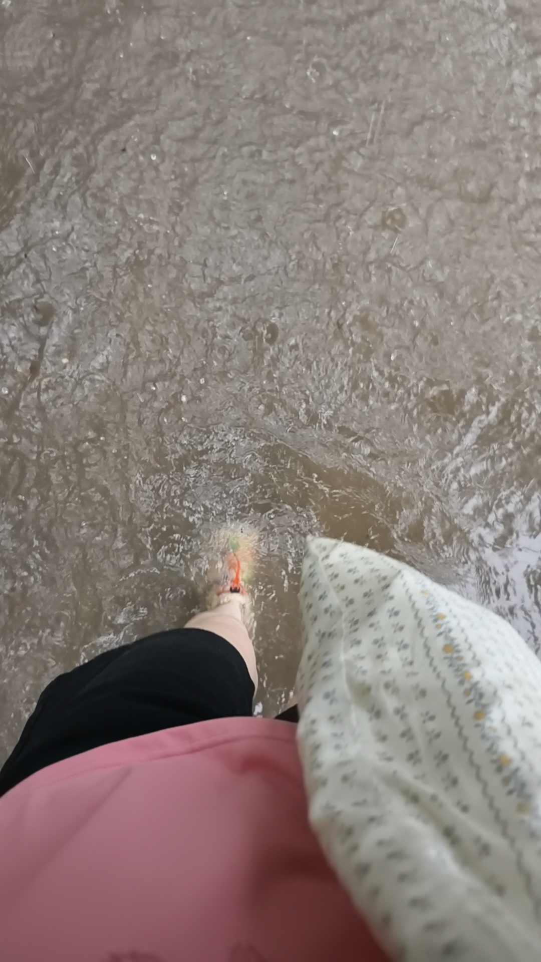 我从荒野来，要到大海去🌊 