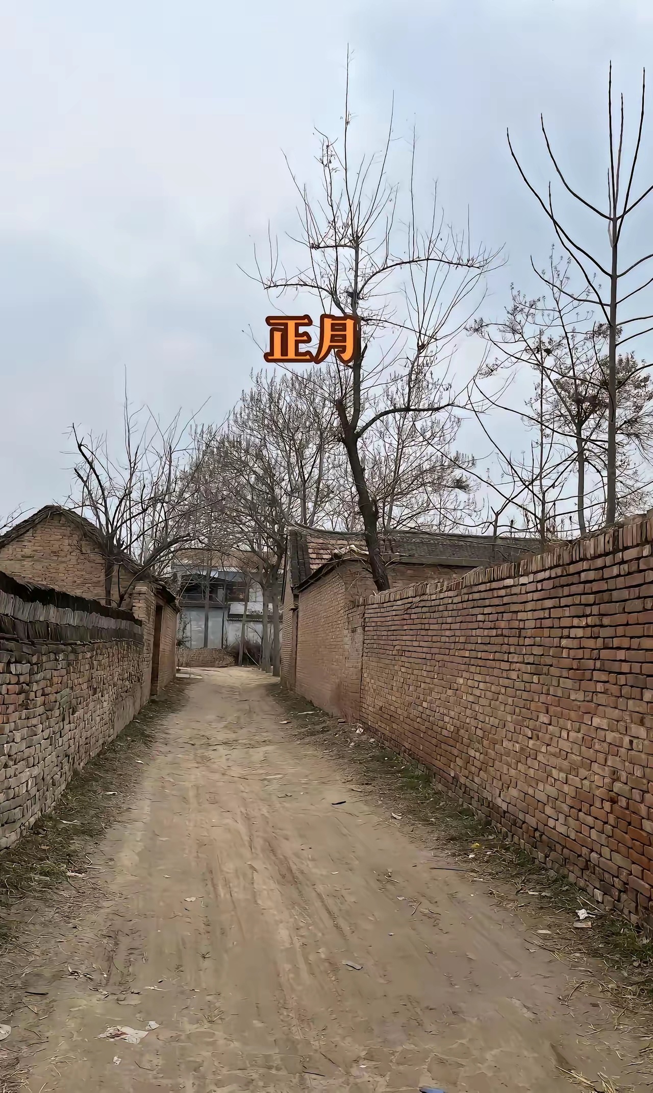 拍了整整两年，往返20多次，才拍下老家门口小路的春夏秋冬，四季不停的轮回，像极了