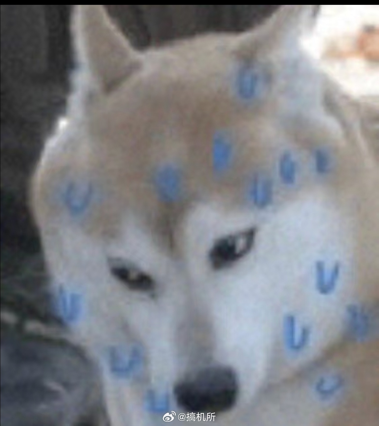 当你以为回县城老家是退路时我老家号称“小香港”，物价堪比一线城市，但工资却低得离