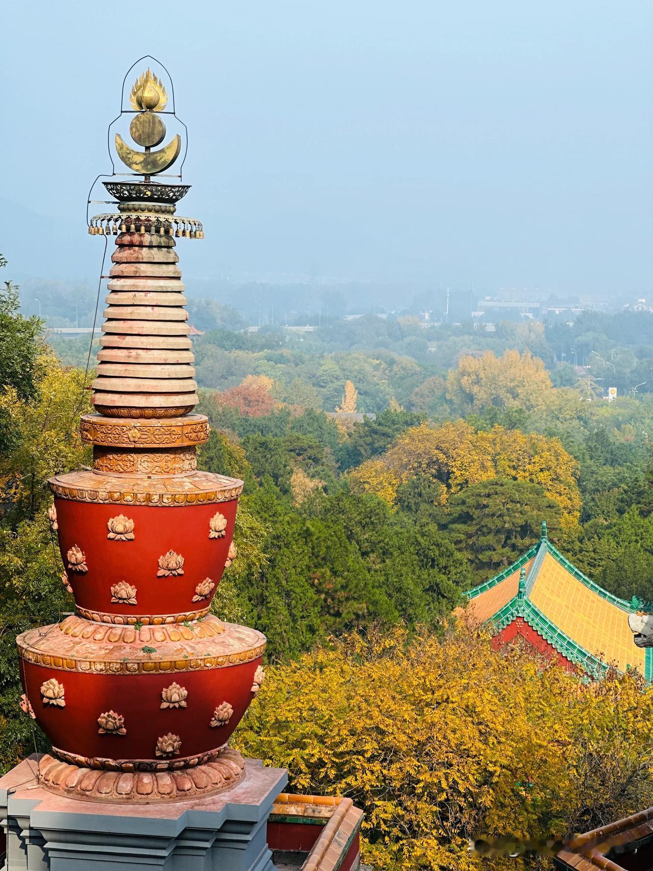 #一张图证明你去过颐和园# 
我车停北宫门，一脚冲上万寿山顶上，腿差点就废了，胆