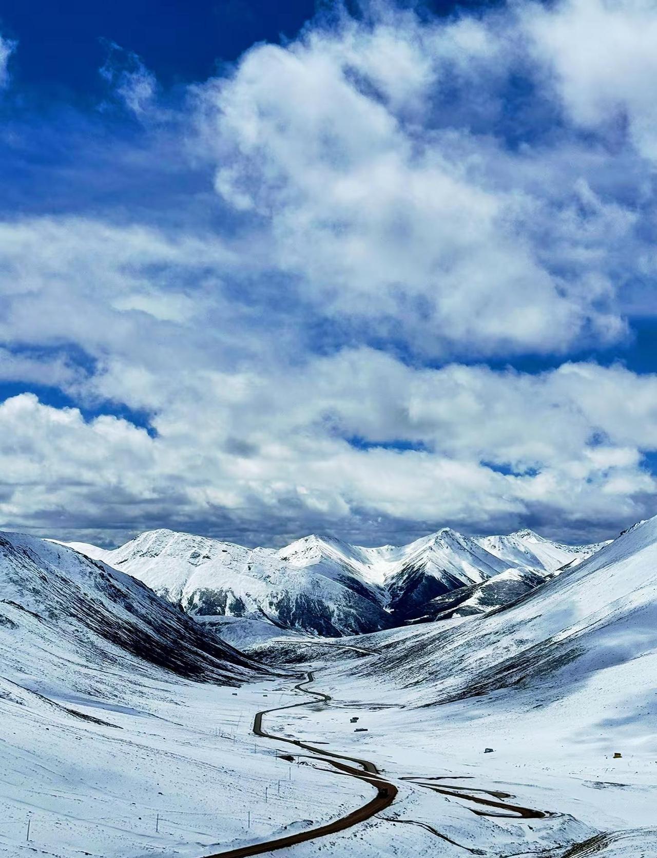 听说成都今天三十度青海玉树