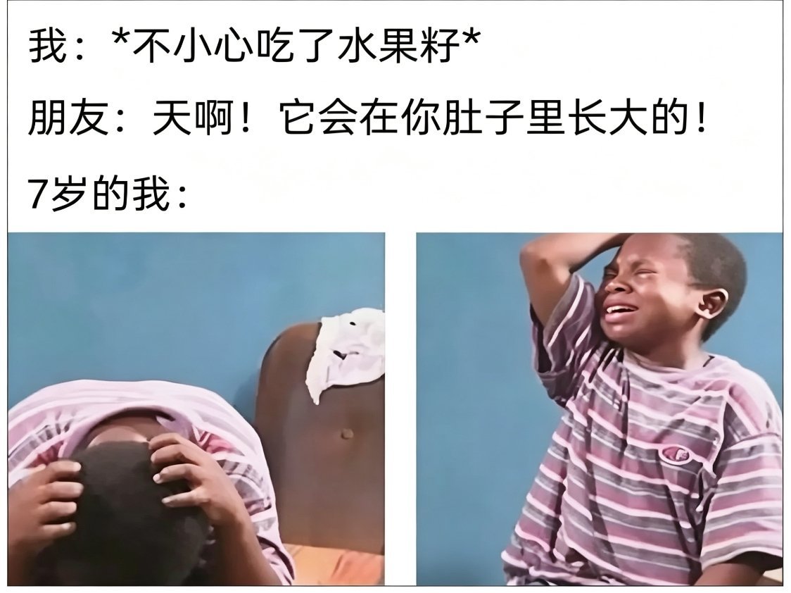 小时候真被骗过memes