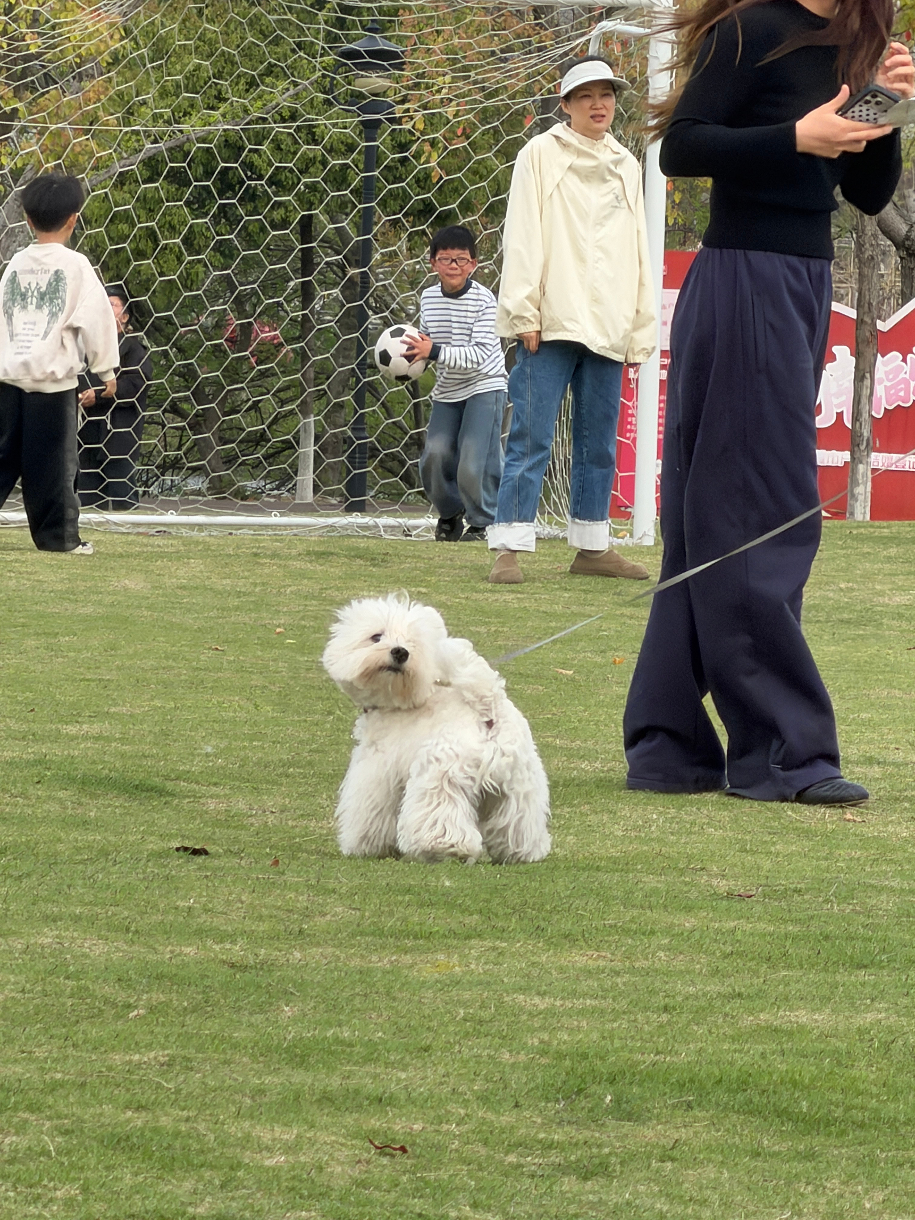 你的生活到底需不需要我的这份报备 