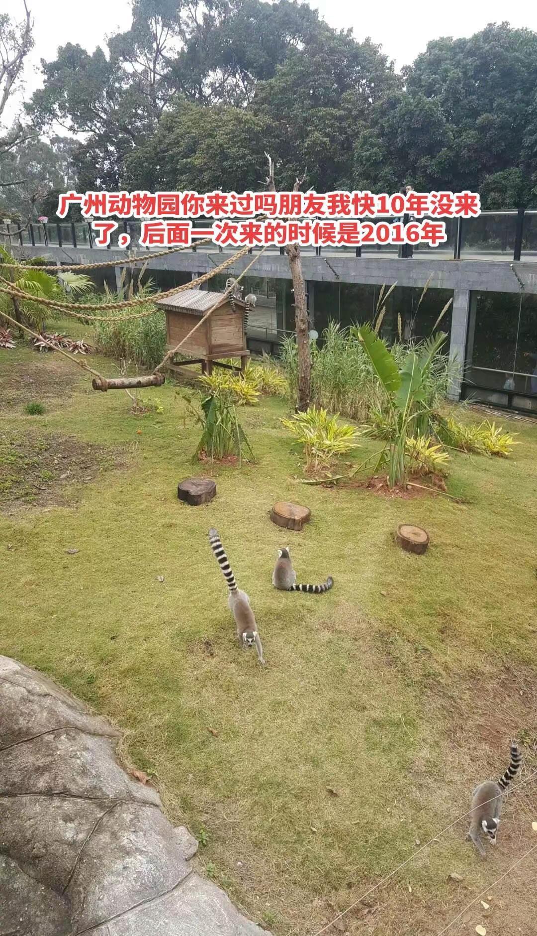 广州动物园你在广州有来过吗朋友动物园环境 风景优美的动物园 。
