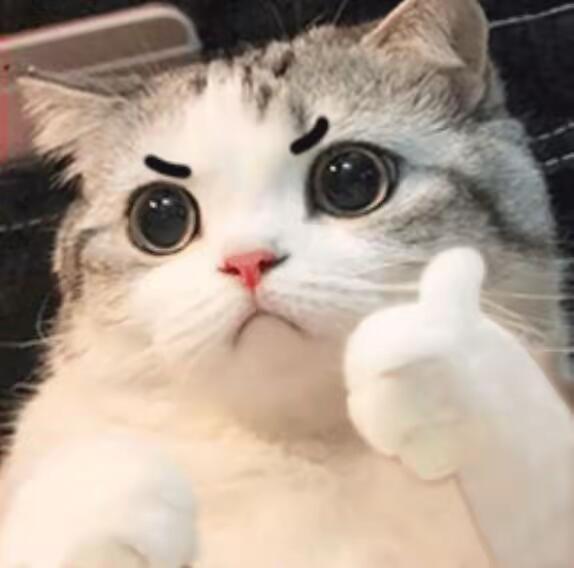 商家标价1.88元出售马语祝福马年最离谱的祝福出现了家人们谁懂啊！马年拜年新姿势