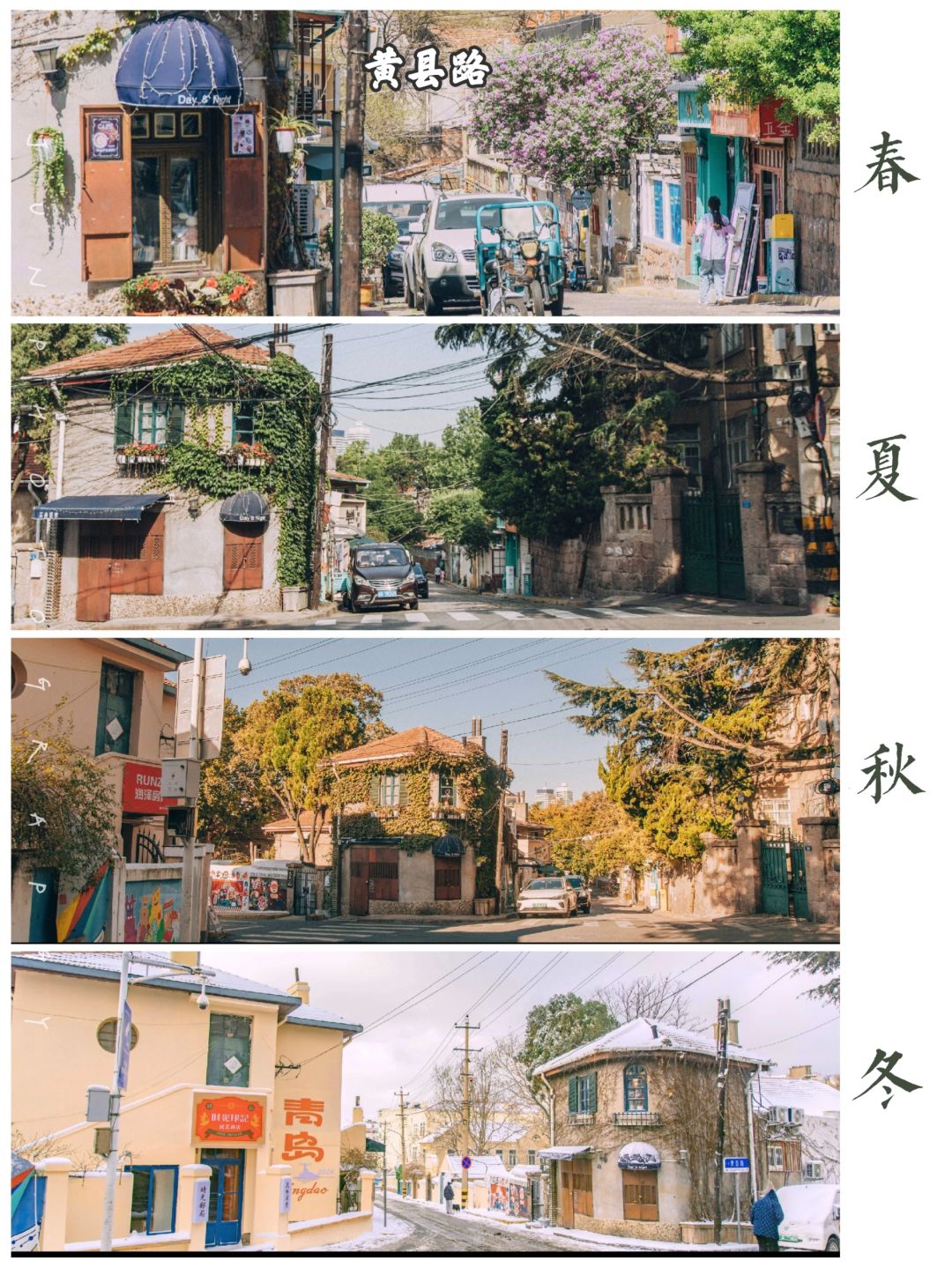 接下来青岛的这条路🌸春夏秋冬美成童话