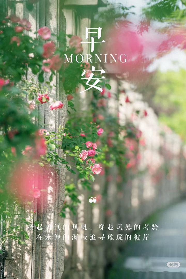 👗🌷²º²⁶/₀₆.₁₇ ღº ✐ 🔆 ᴹᴼᴿᴺᴵᴺᴳ🍀朝光启新程，风载