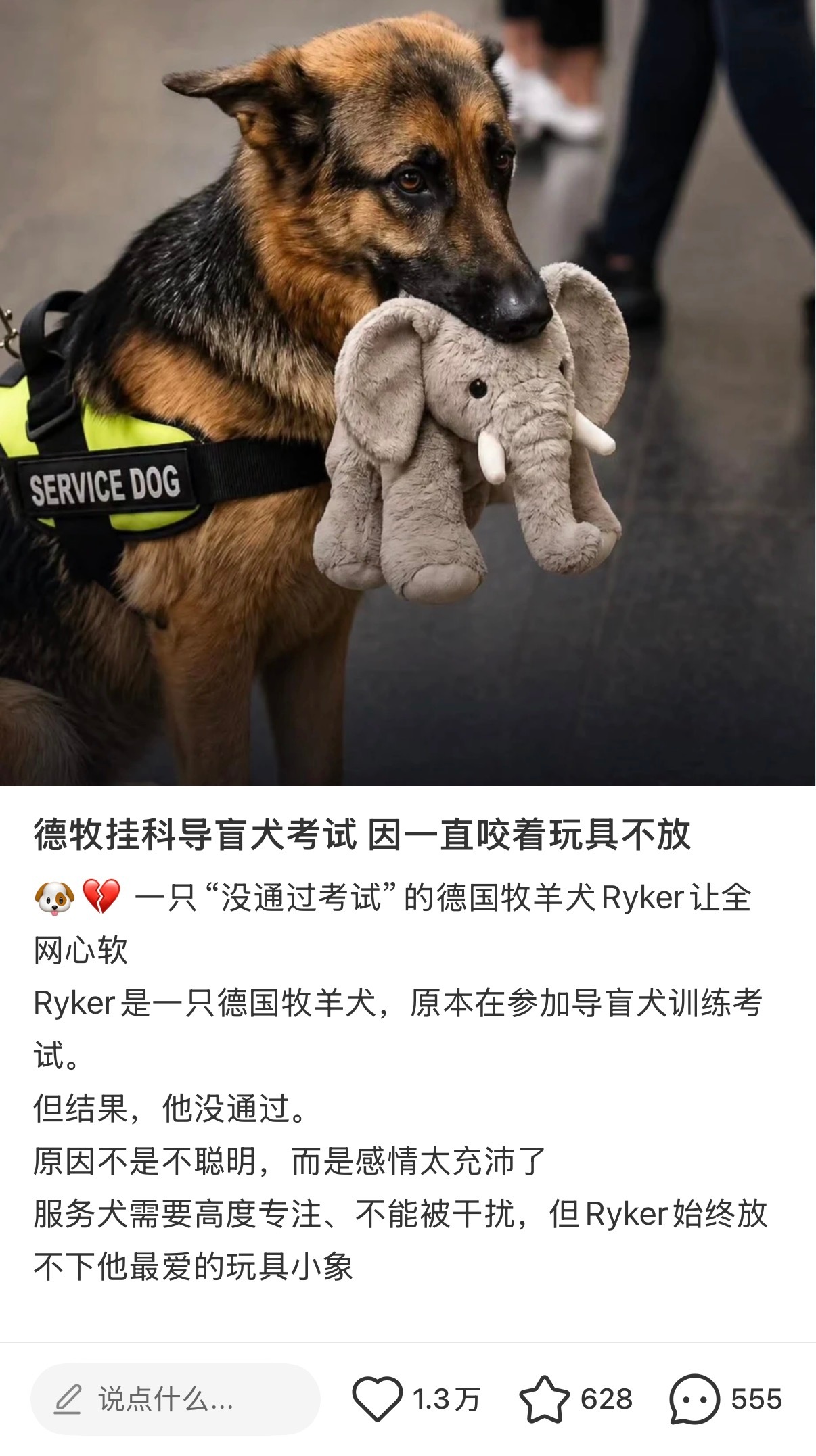 哎呀，心软软啊