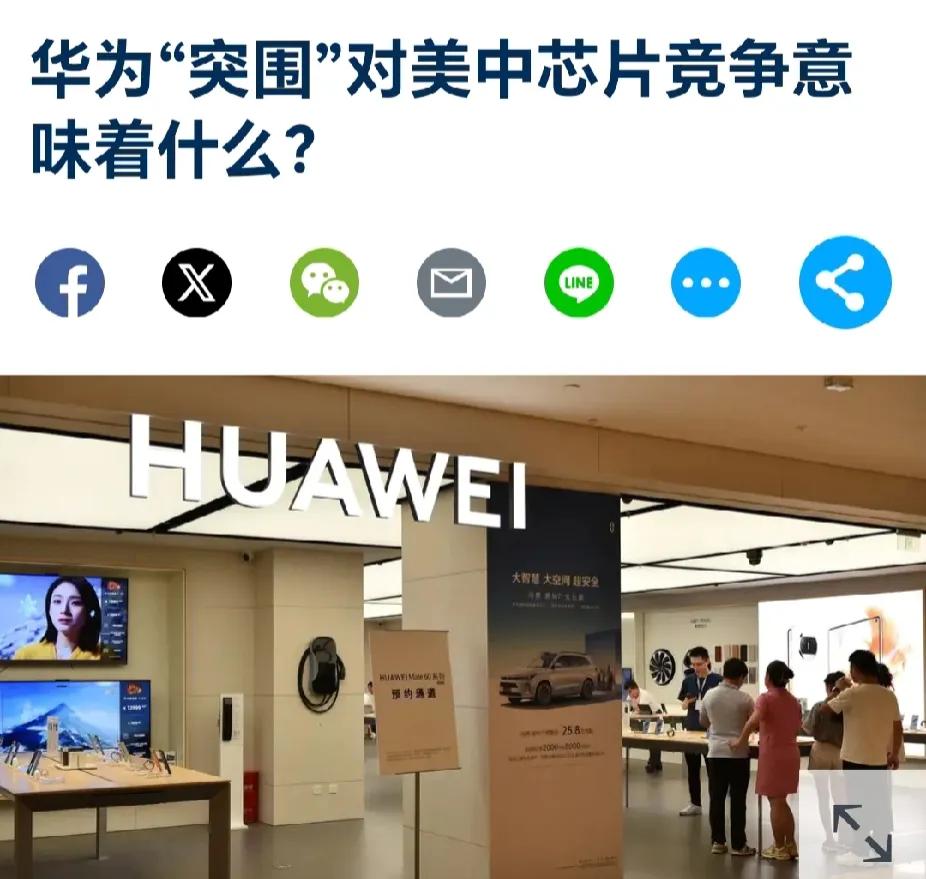 美国专家刘易斯向美国政府建议：允许向中国出口芯片，但不要出口制造这些芯片的设备。