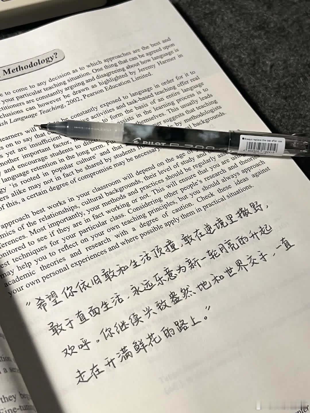 “希望你一直走在开满鲜花的路上”  ”希望你依旧敢和生活顶撞，敢在逆境里撒野，敢