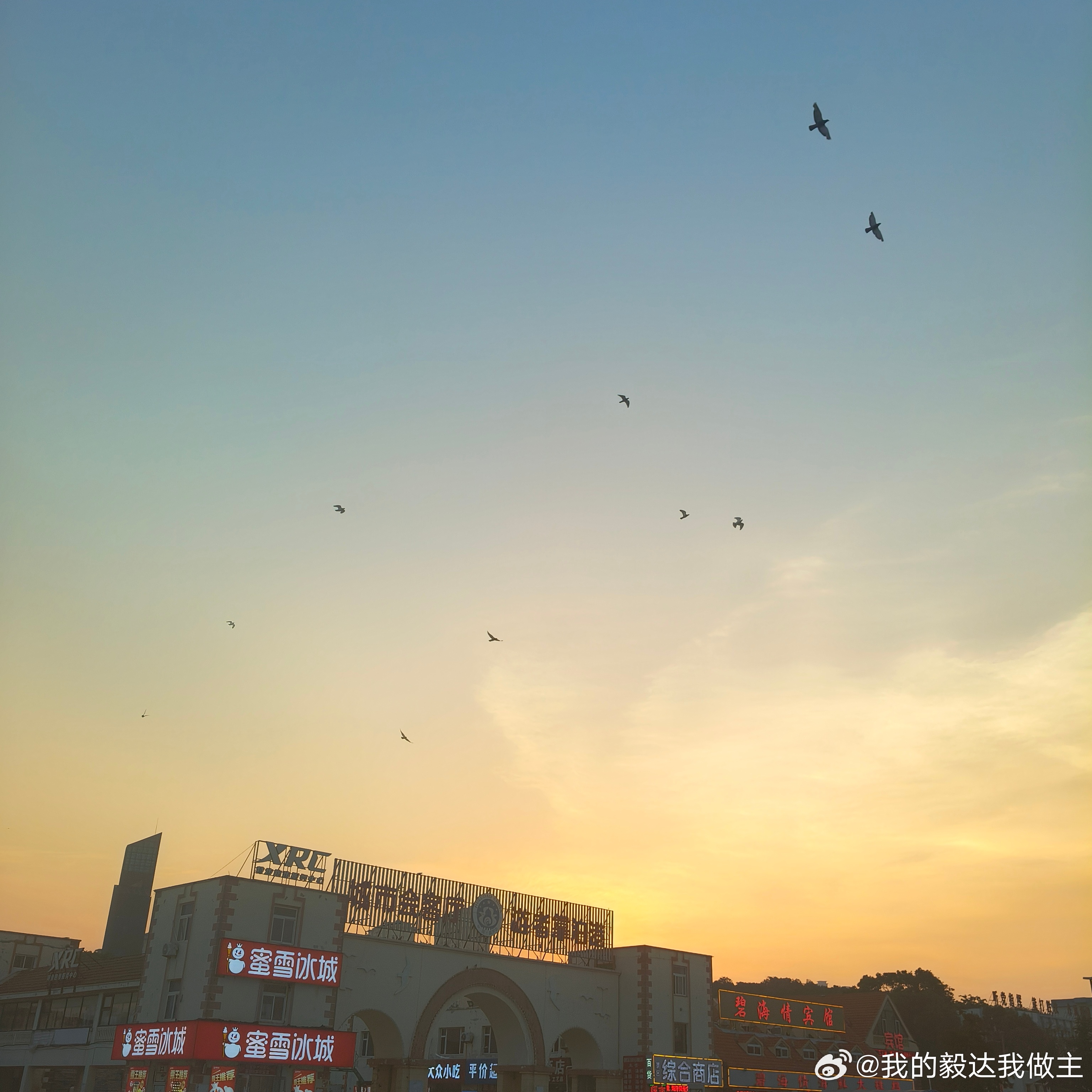 暮色苍茫，群鸟归飞，恰如王维笔下“行到水穷处，坐看云起时”的悠然。城市霓虹初上，