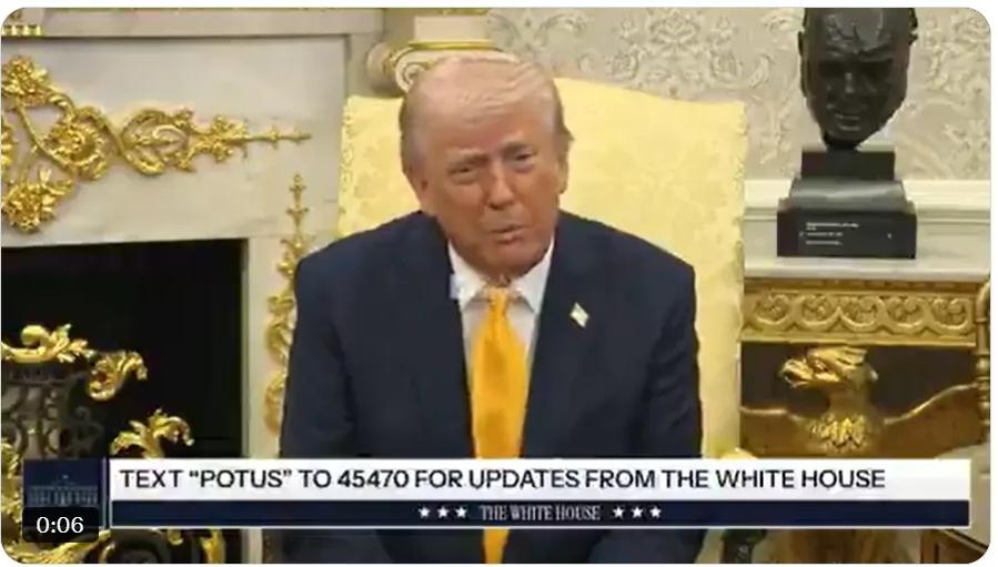 都是拍特朗普马屁的
哪还需要专业人士…