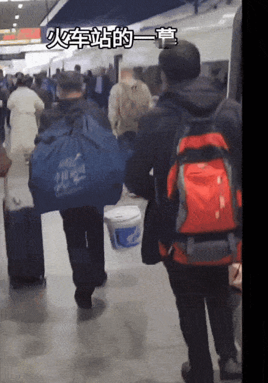 多少人看了这句话
瞬间红了眼眶！
“辞家千里又千里，
务必争气再争气！”

红了