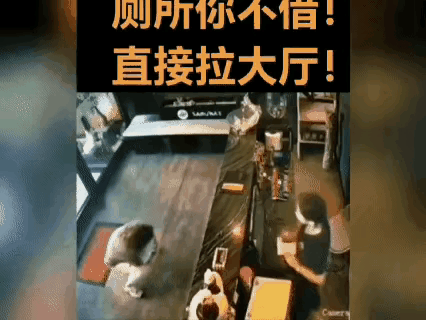 人有三急，活人不能被尿憋死。女子因为突然内急，急匆匆跑到一宾馆去如厕，竟然遭到工