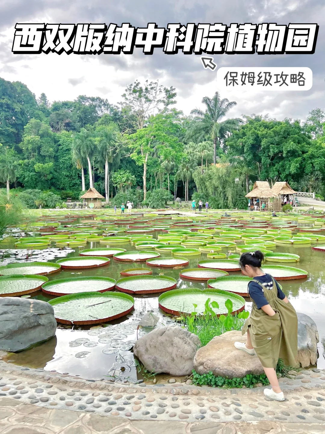 必看‼️西双版纳中科院植物园亲子攻略