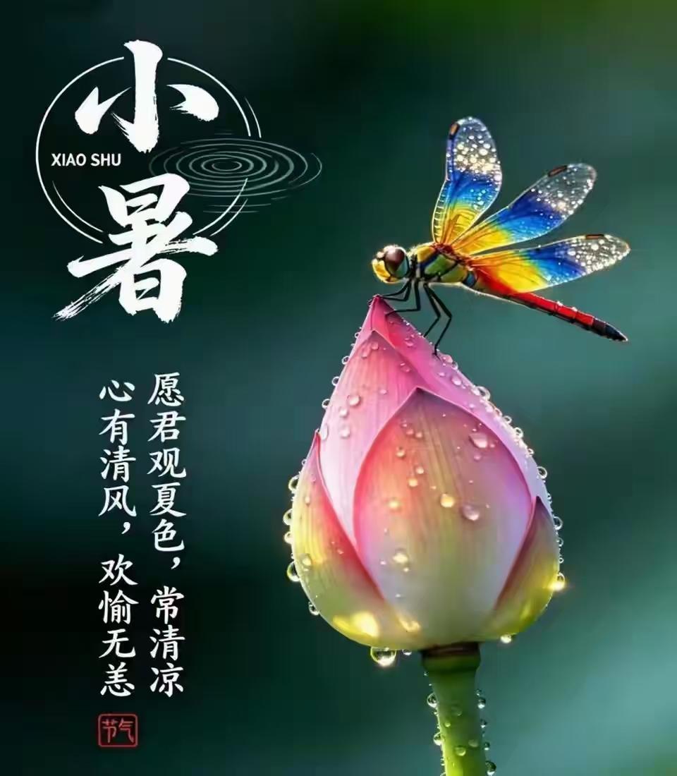 南歌子·小暑
                                 