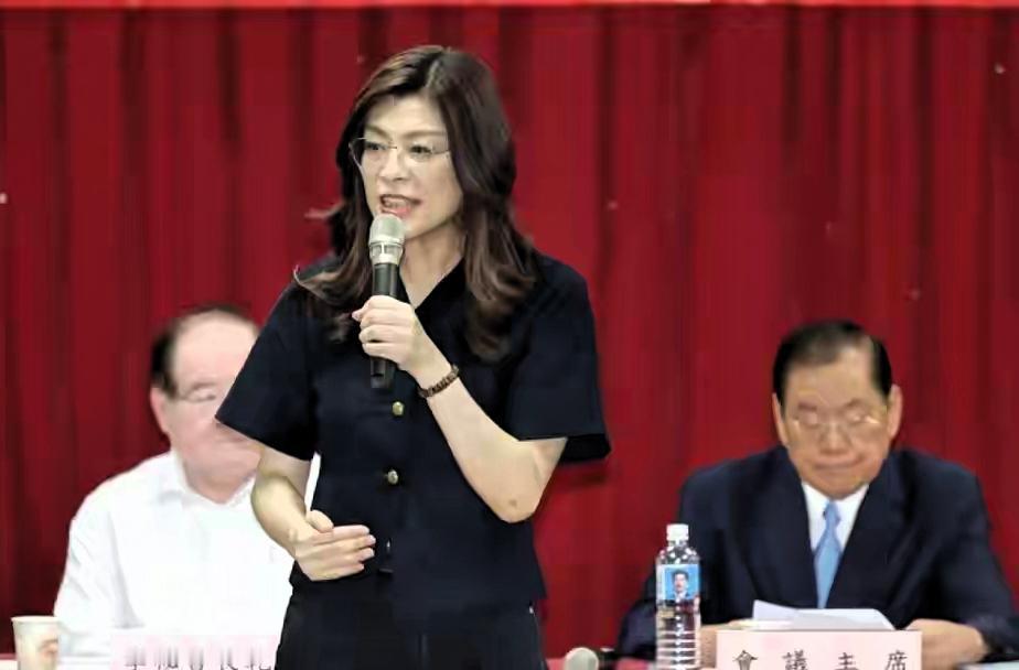 告别涣散“羊群”！国民党抛出全新战略蓝图，目标瞄准全台政治版图翻转
 
前言
长