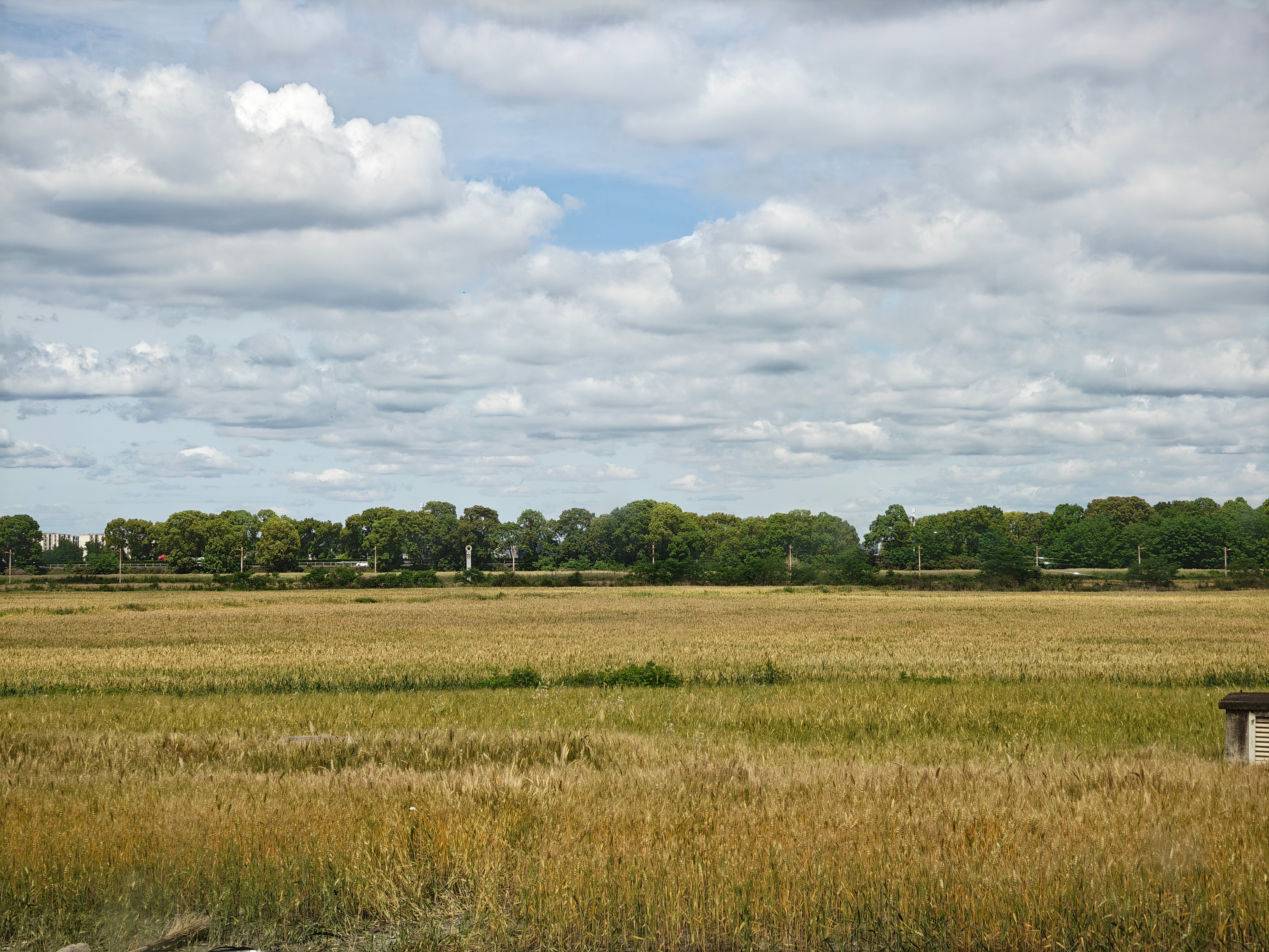 落地去吃了一顿跷脚牛肉，再加上成都这天气，不热不冷，真安逸呀 成都