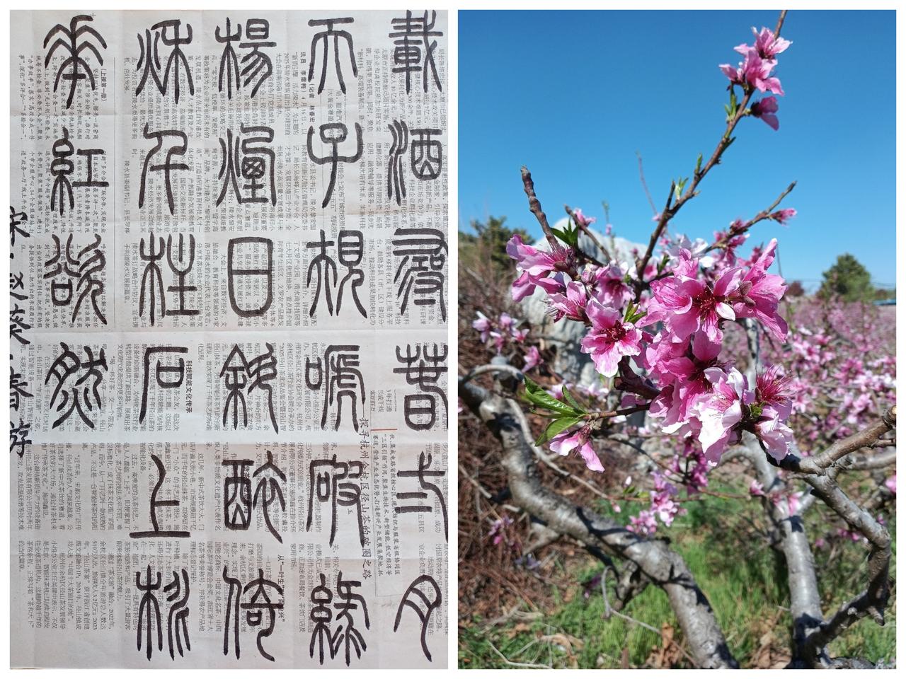 书法练习打卡，篆书宋朝赵葵诗，“春游”。诗曰：载酒寻春二月天，子规啼破绿杨烟。日