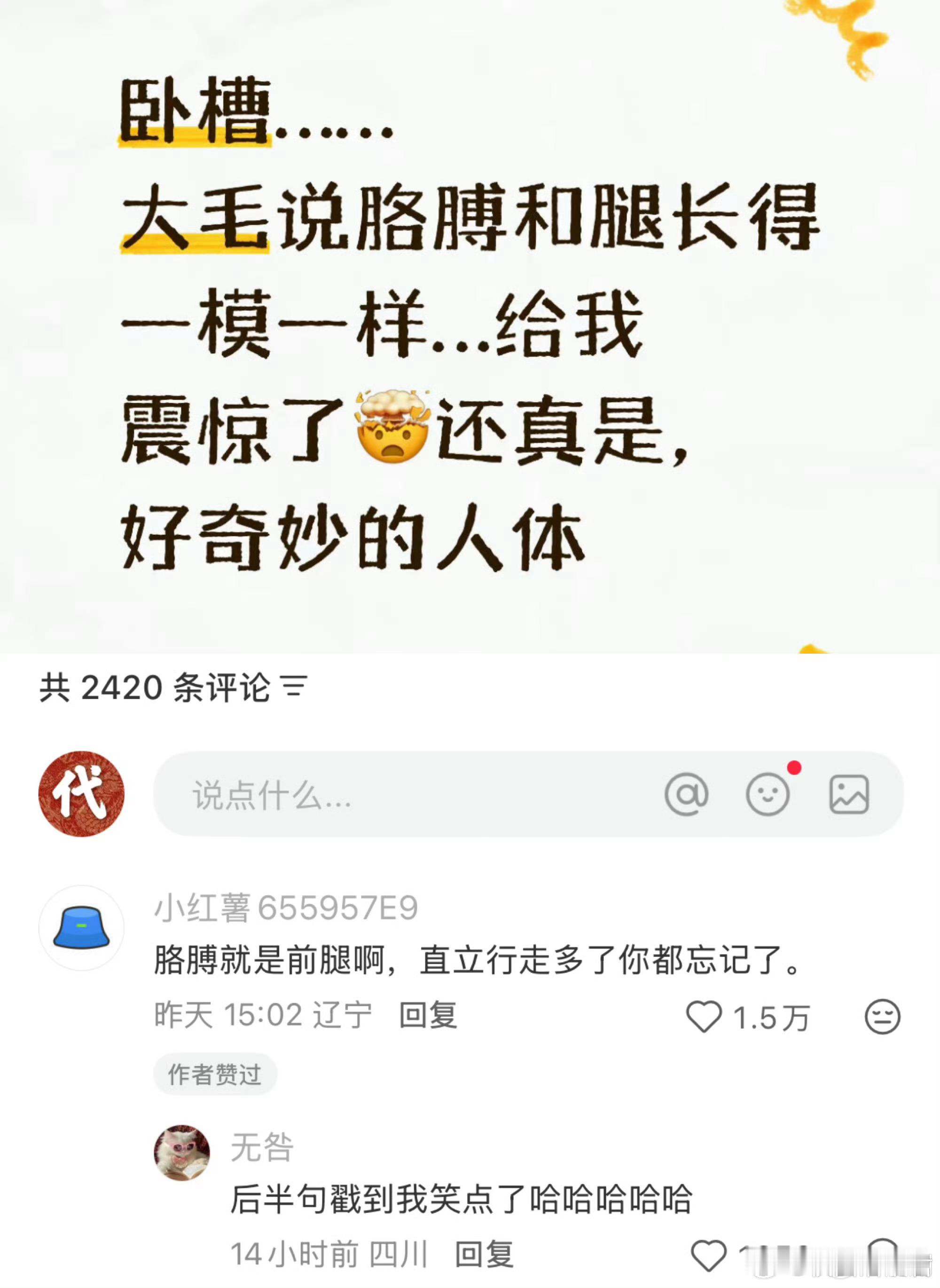 我一直在笑…… 