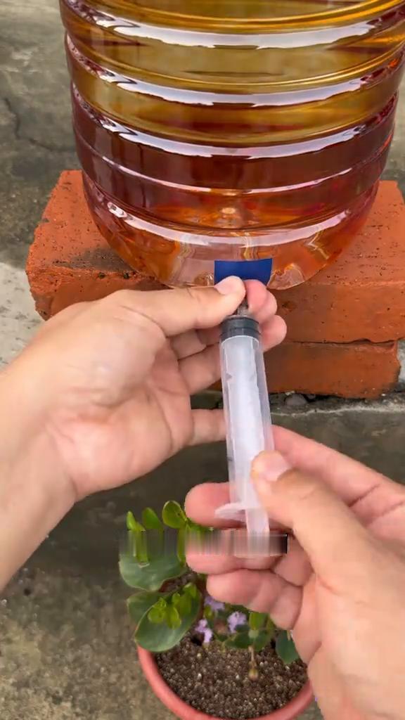 盆栽防干旱小技巧。
太聪明了！在油桶瓶底贴个胶带，用太奶奶的手针扎个小孔，再将注