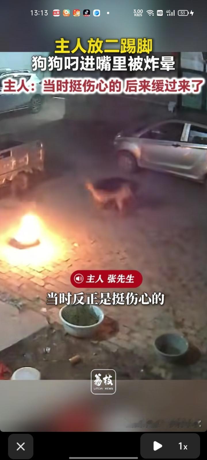 5月19日（发布），菏泽市曹县。张先生称，下班后和狗狗一块玩，放二踢脚在地上，谁