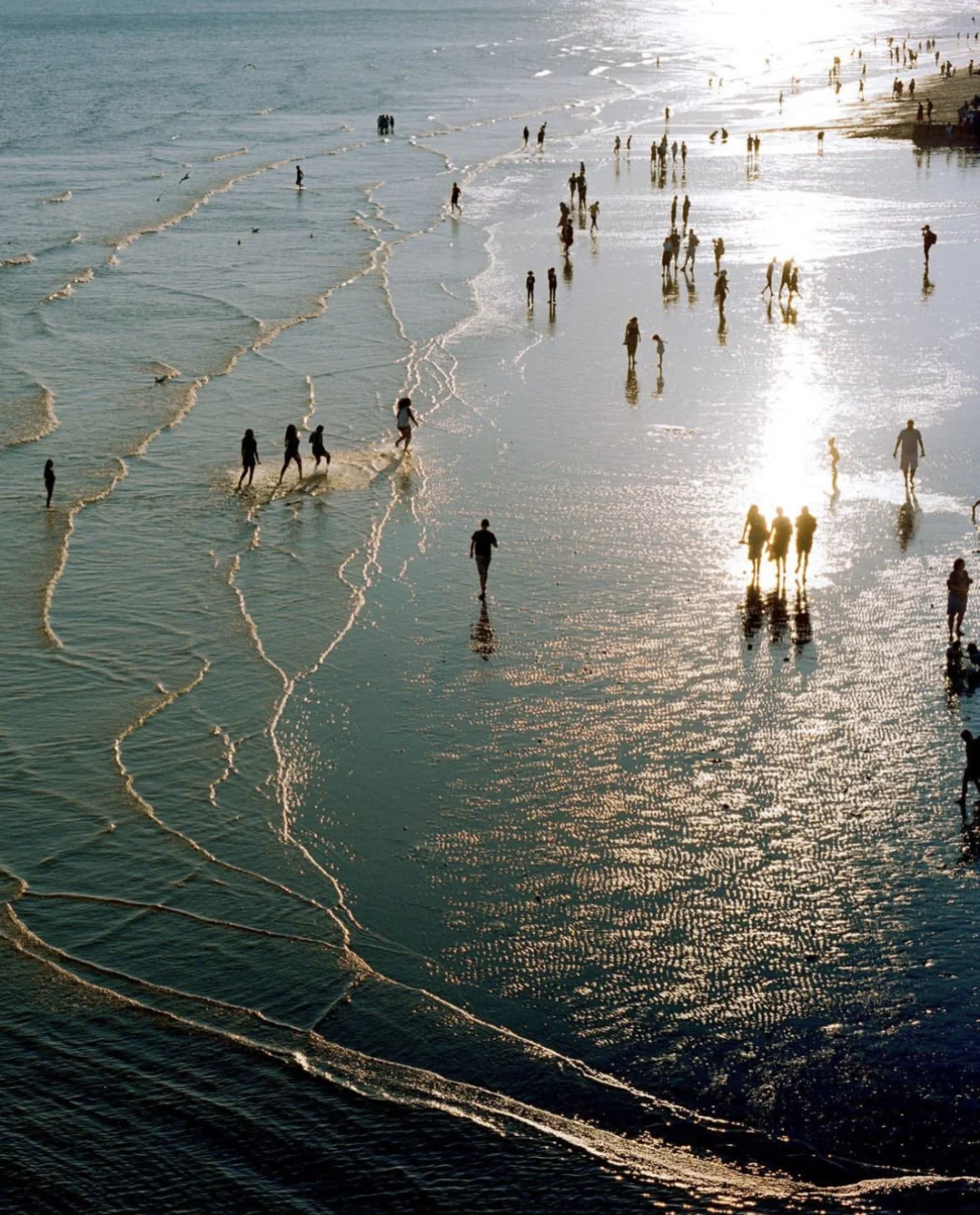 “𝓢𝓮𝓪𝓼𝓲𝓭𝓮 𝓑𝓻𝓲𝓰𝓱𝓽𝓸𝓷”